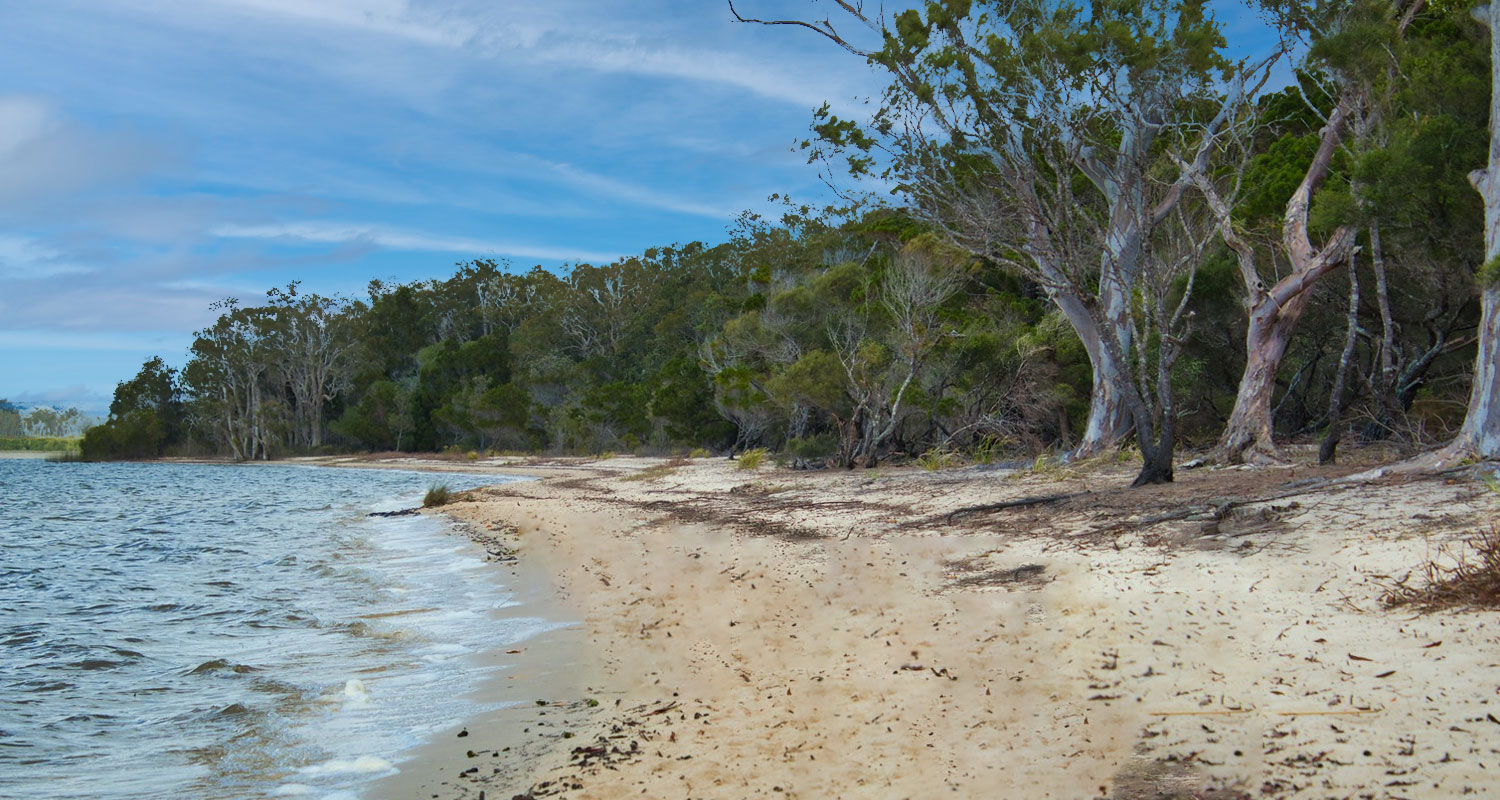 Lake Cootharaba and Boreen Point Noosa