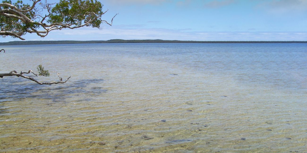 Discover Lake Weyba near Noosa