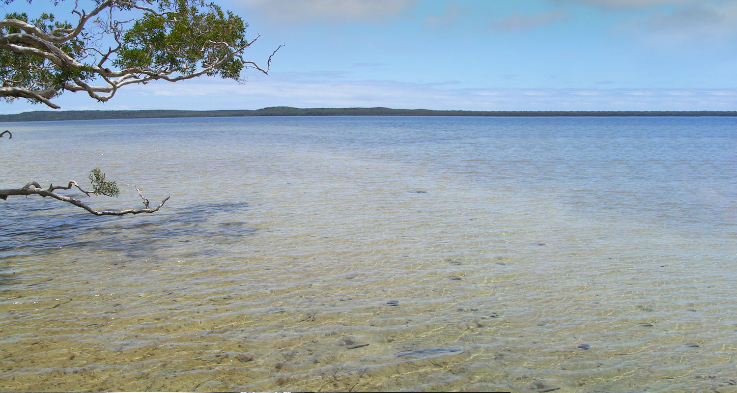 Discover Lake Weyba near Noosa