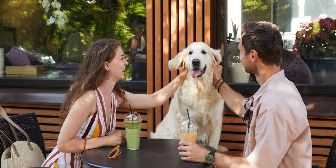 Pet friendly cafes Noosa