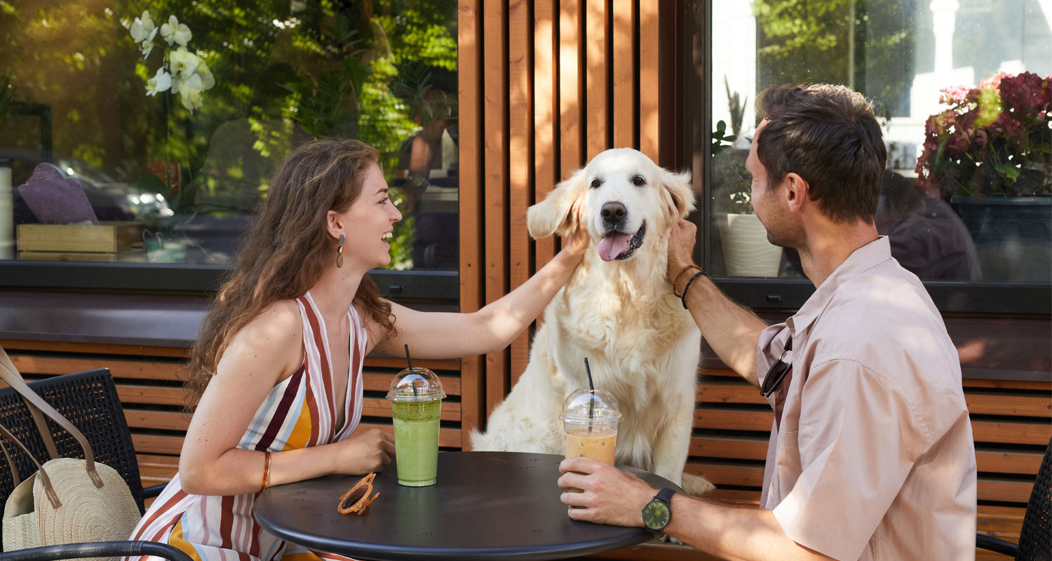 Pet friendly cafes Noosa