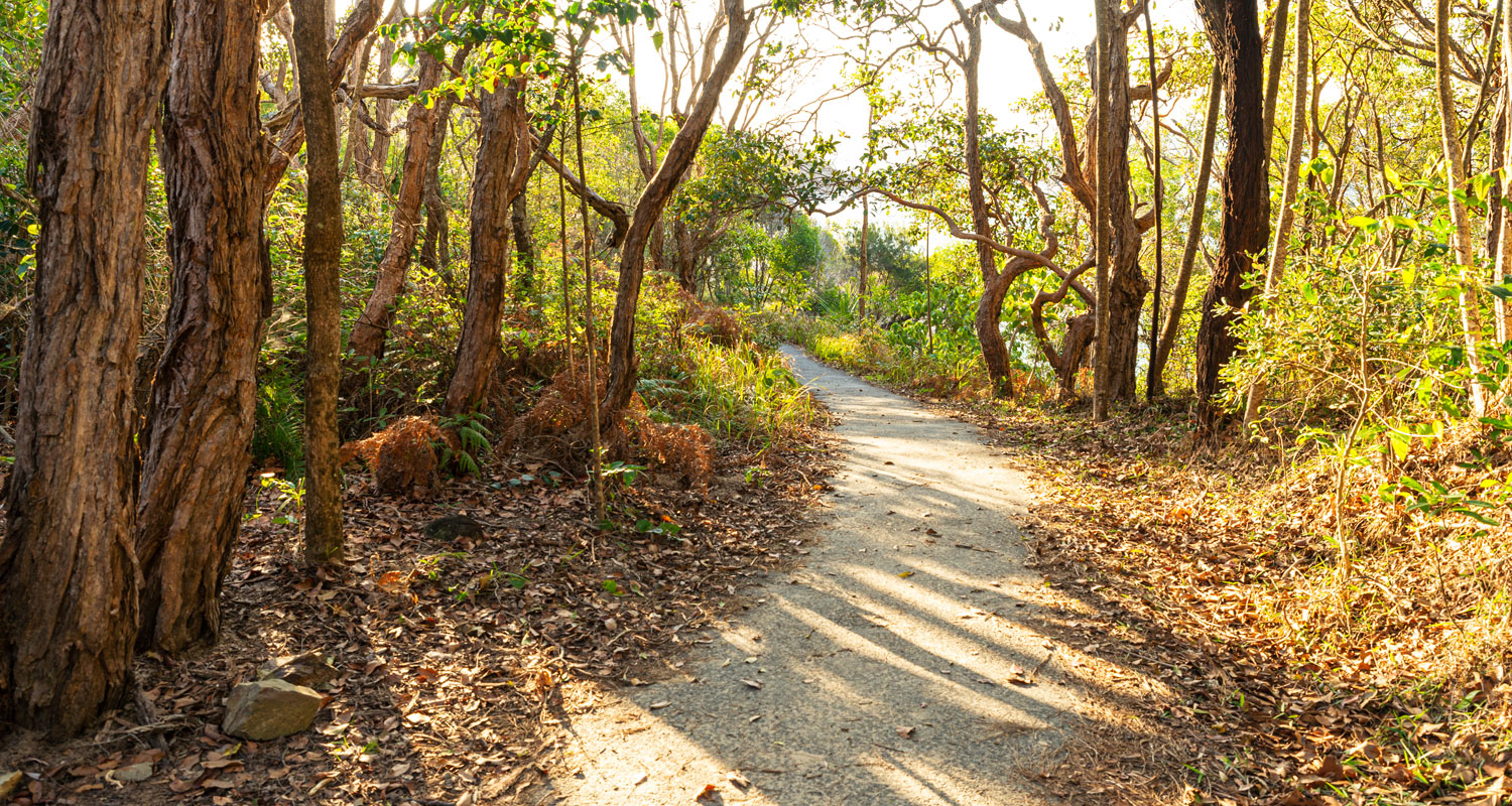 Noosa walks and bike rides