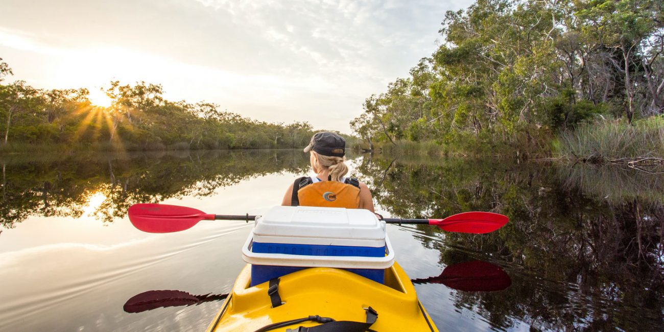 Noosa's great outdoors - Noosa Everglades