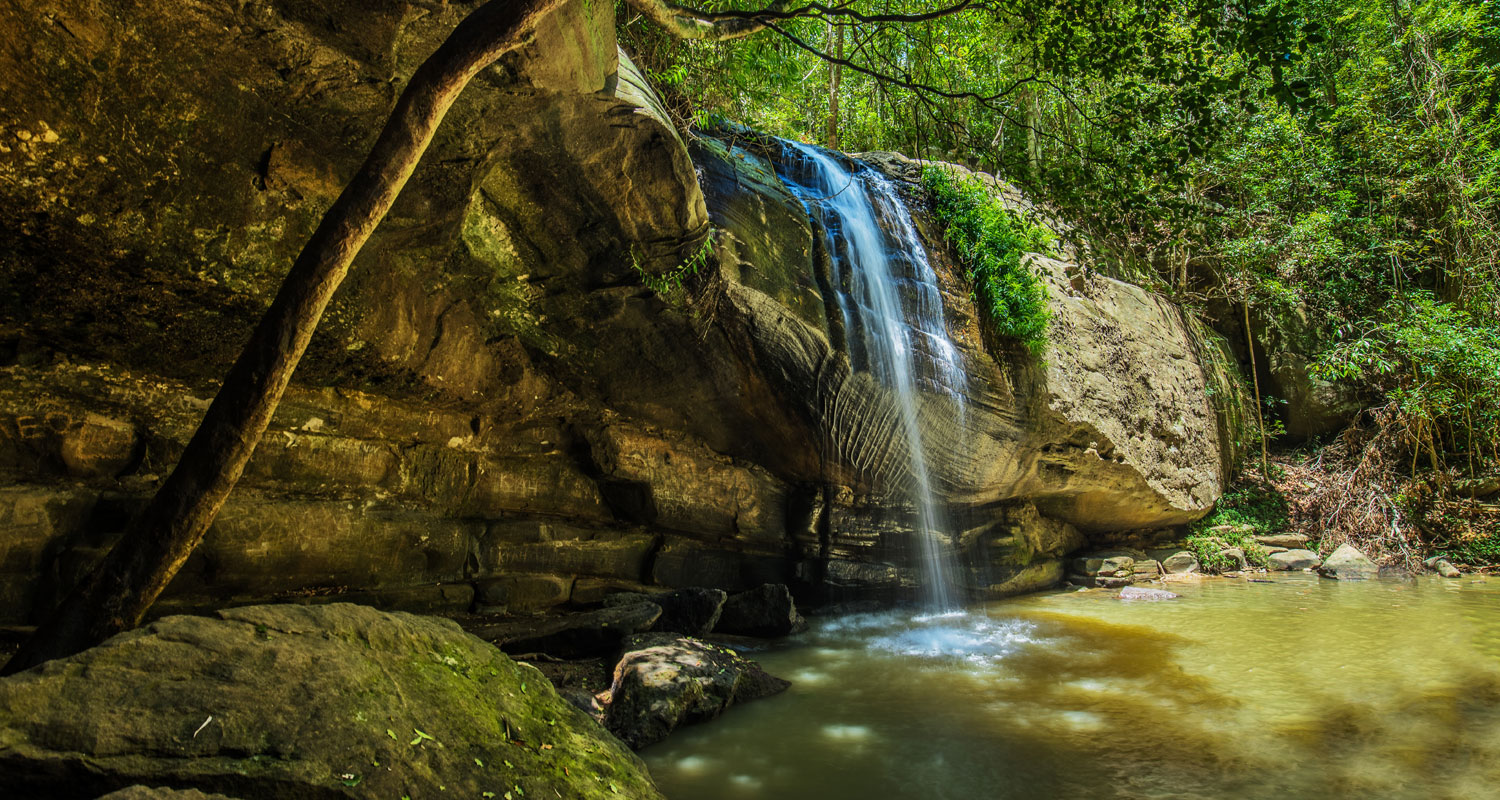 Natural wonder around Noosa and the Sunshine Coast