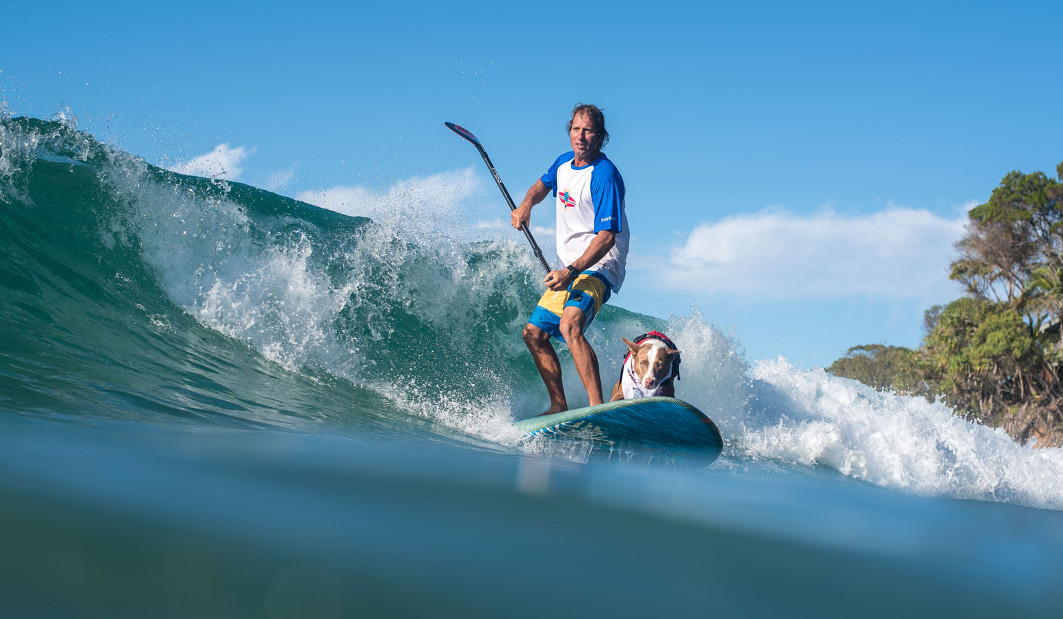 Noosa Surfing