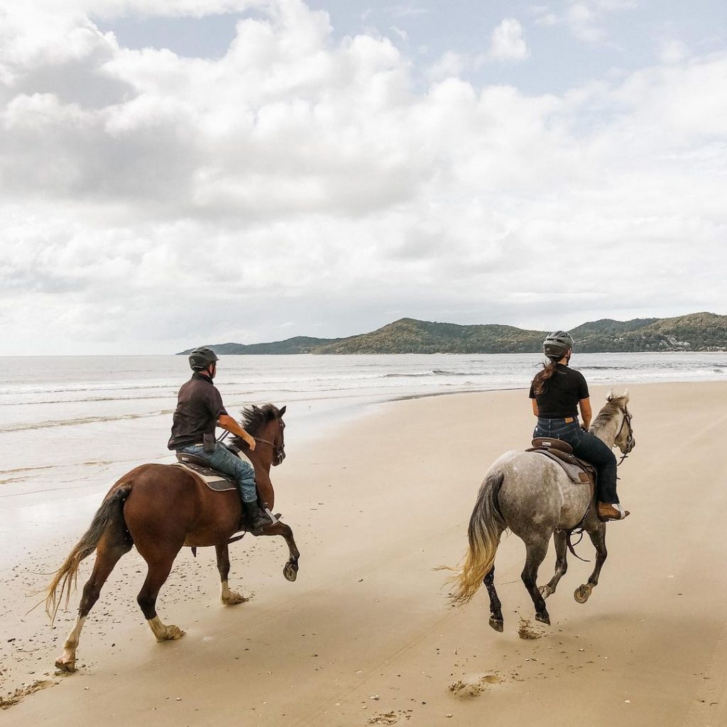 horse riding noosa