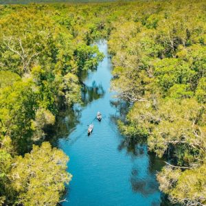 noosa everglades