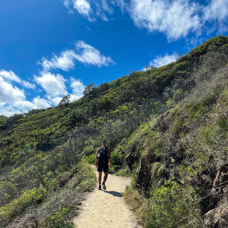 Noosa National Park Coastal Walk