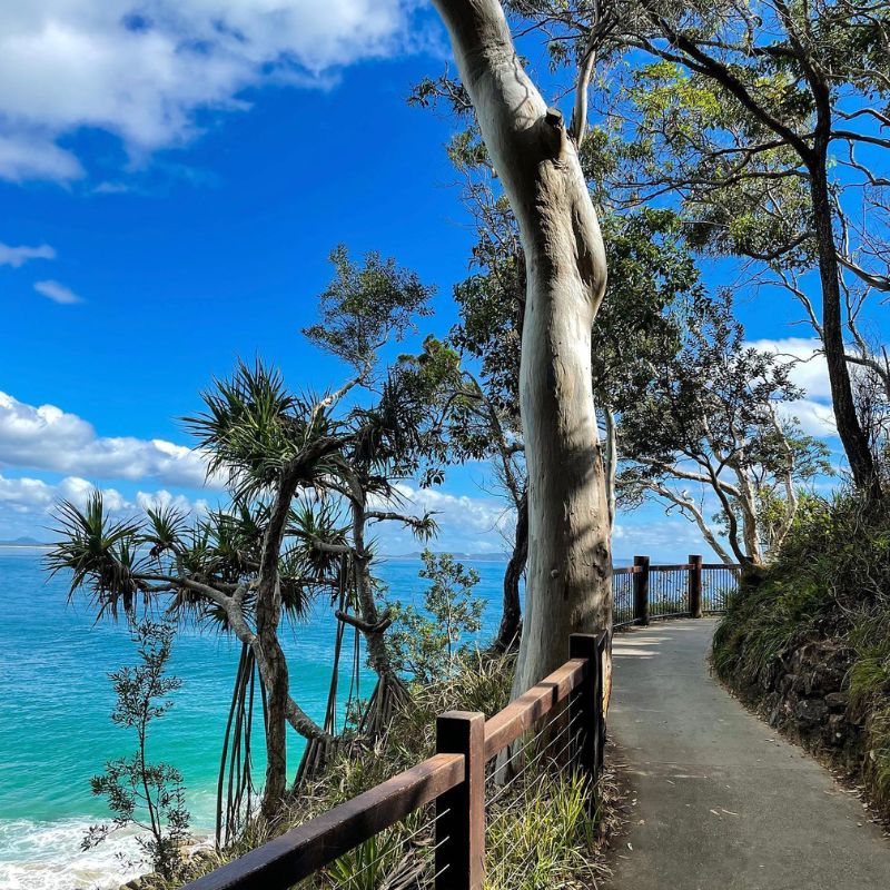 Noosa National Park Walk